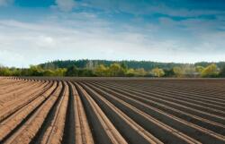 Xanabad və Təzəbinədə torpaqların əkini üçün müraciətlərin qəbuluna başlanır