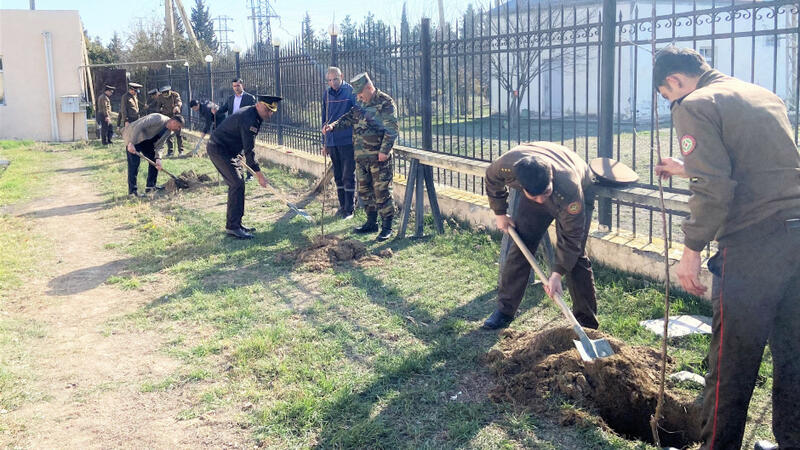 FHN-in Qarabağ Regional Mərkəzi ağacəkmə aksiyası keçirdi -