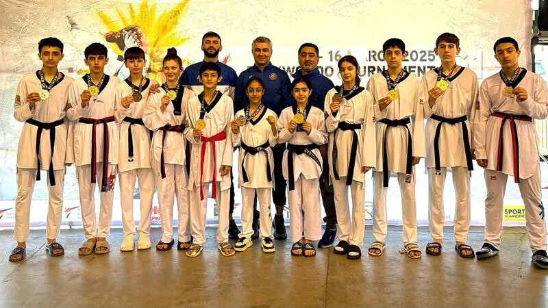 Azərbaycan taekvondoçuları Belçikadan 11 medalla qayıdır