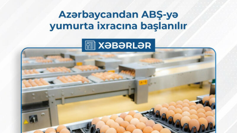 Azərbaycandan ABŞ-yə yumurta ixracına başlanılır