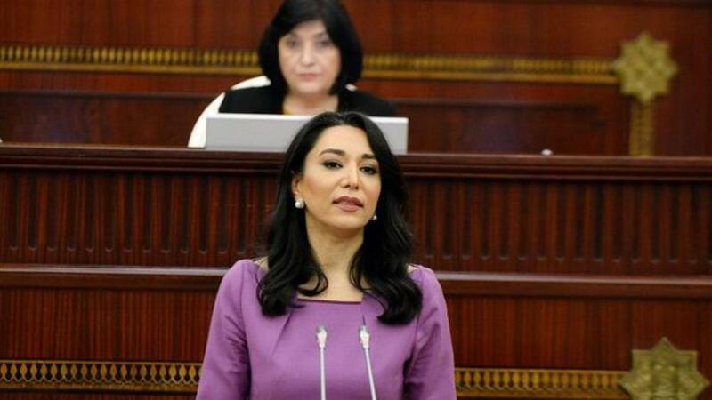 Ombudsman: 2025-ci ildə 355 başçəkmə həyata keçirilib
