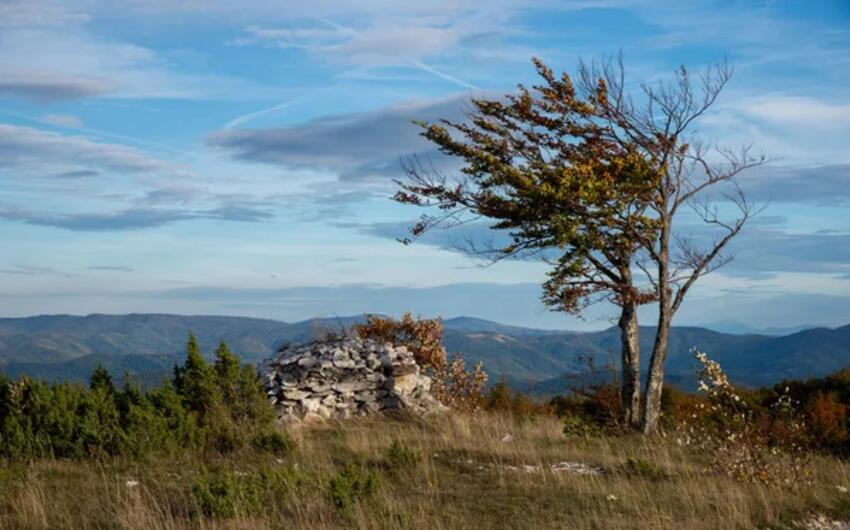 Küləkli hava şəraiti ilə bağlı sarı xəbərdarlıq verildi