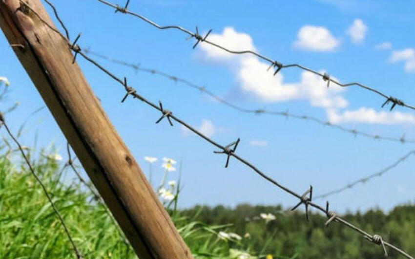 İnsan alveri, məcburi əmək qurbanları ilə bağlı 8 miqrasiya kanalı müəyyən olundu