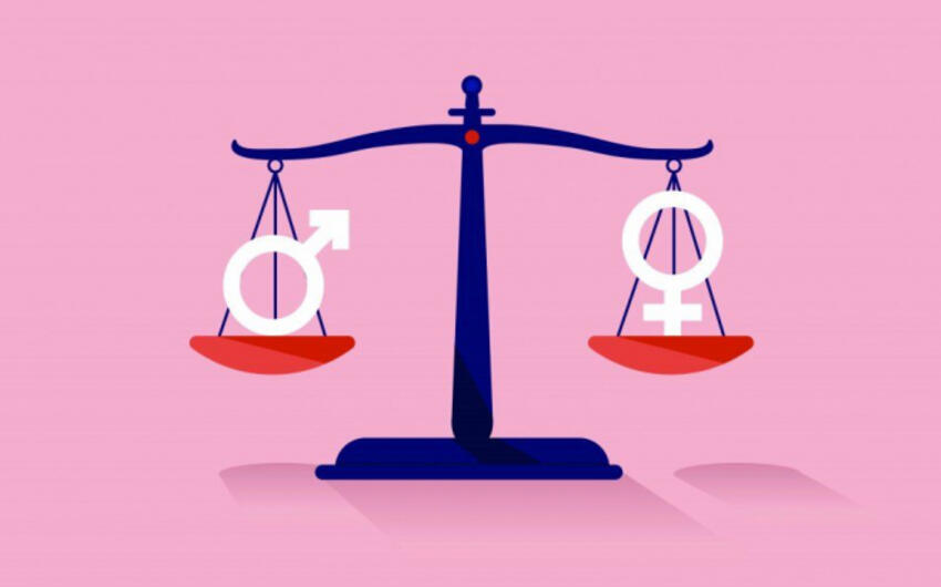 Gender məsələləri üzrə məsul şəxslərin fəaliyyətləri ilə bağlı tövsiyələr verildi