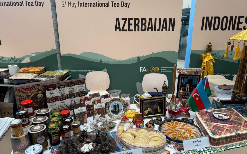 Romada Azərbaycan çayı təqdim olundu -
