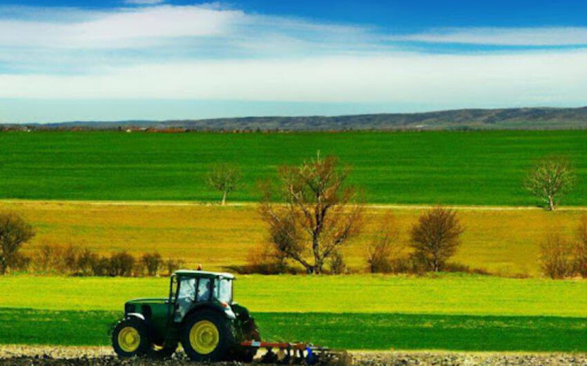 Kənd təsərrüfatı sahəsində qadınlar üçün hüquqi dəstək proqramlarının yaradılması təklif olunur