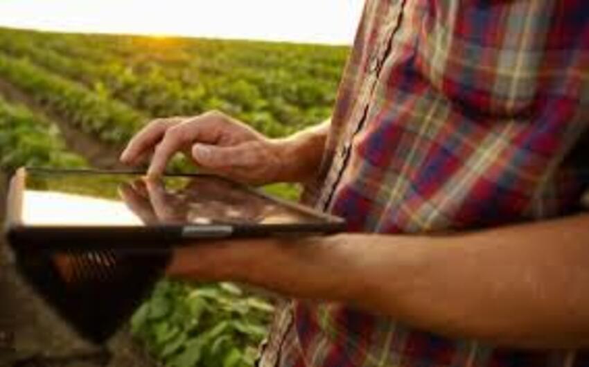 Örüş sahələri ilə bağlı verilən qanunsuz qərarlar ləğv edilib