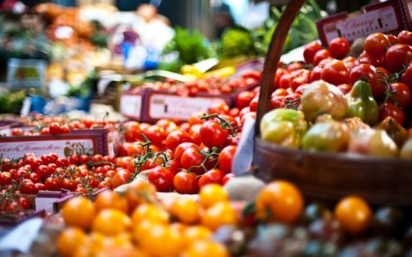 Azərbaycanın ərzaq təhlükəsizliyinə 485,7 milyon manat vəsait ayrılıb