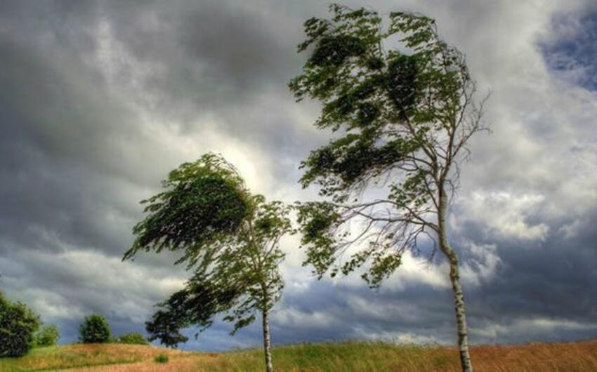 Sabah külək əsəcək -