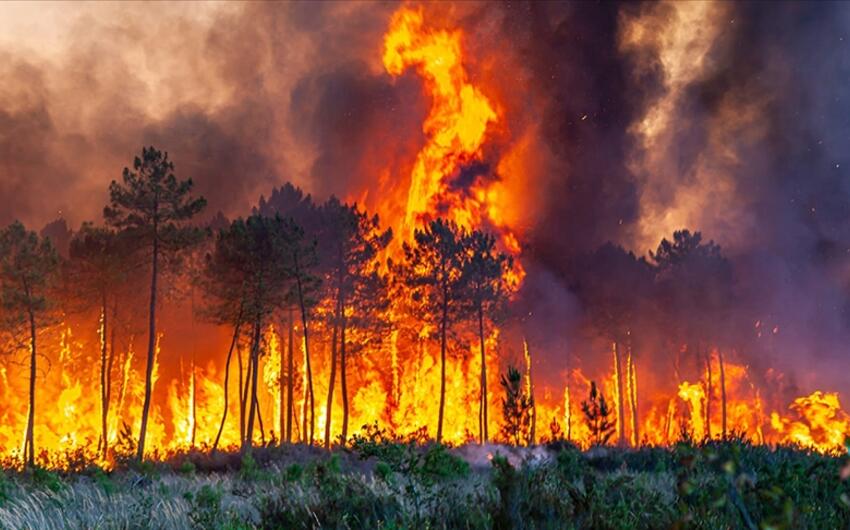 Kanadada meşə yanğınları davam edir