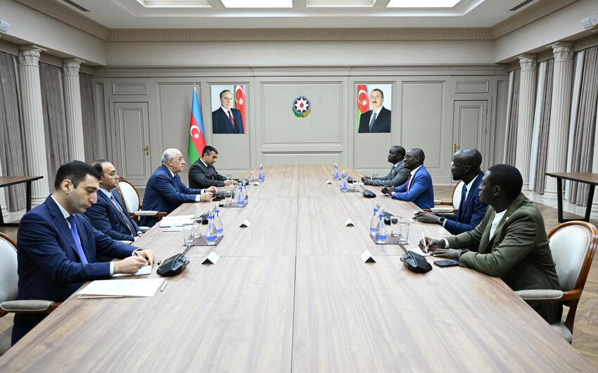 Əli Əsədov Seneqalın dövlət idarəçiliyi və dövlət xidmətlərində islahatlar naziri ilə görüşdü