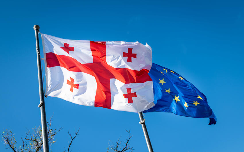 Gürcüstanda Avropa İttifaqına inam azalıb