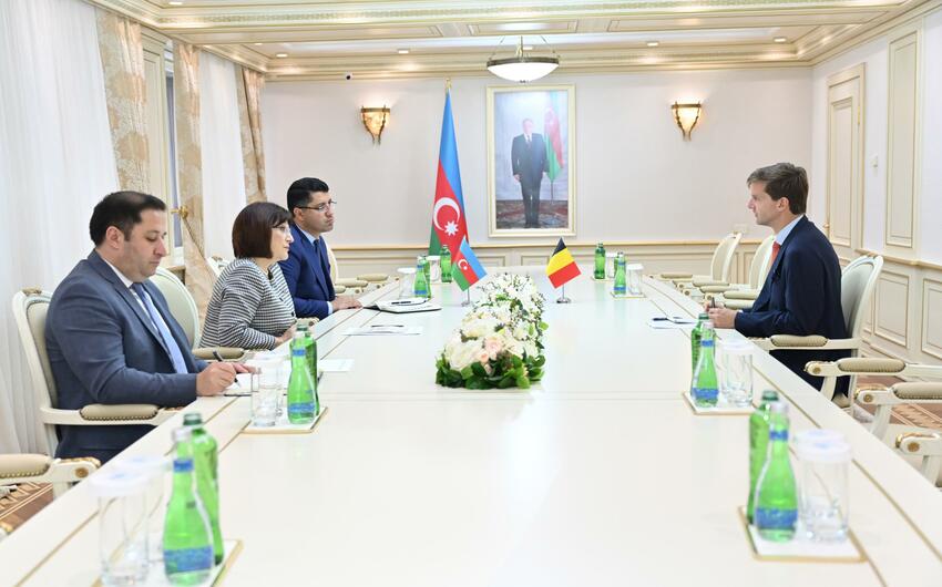 Səfir: Belçika Azərbaycan və Aİ arasındakı dialoqun dərinləşməsini dəstəkləyir