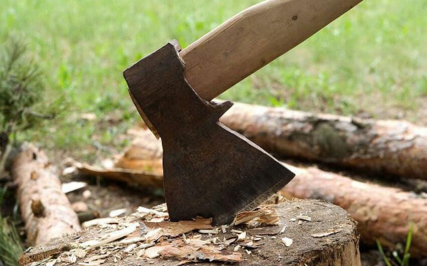 Təbiətə 144 min manatdan çox ziyan dəyib