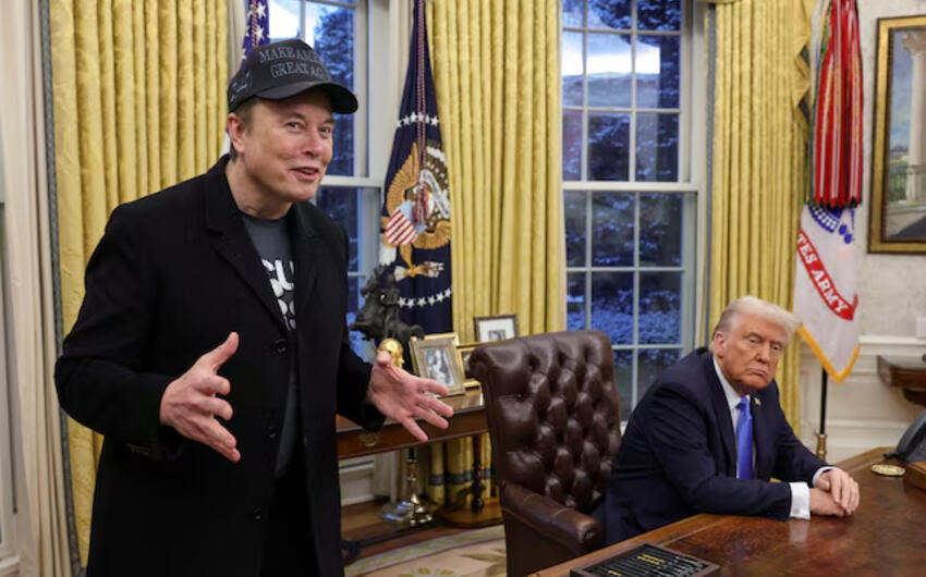 Tramp Mask barədə: