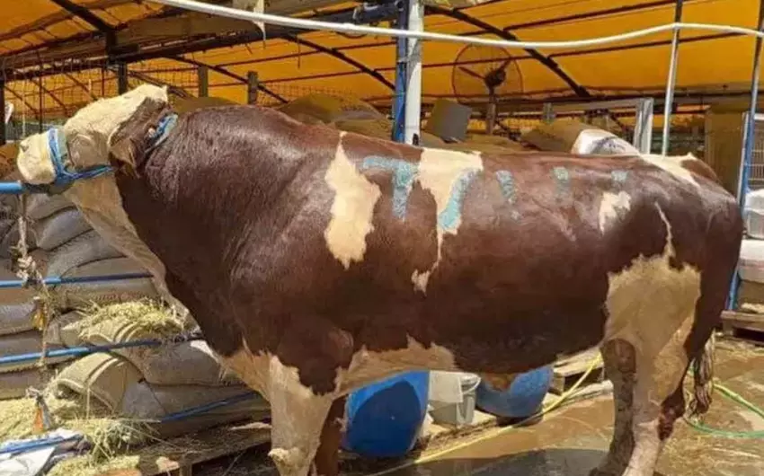 Sosial şəbəkələri silkələyən fakt: