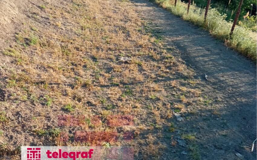 Lerik sakini illərdir evinə yol tapa bilmir –