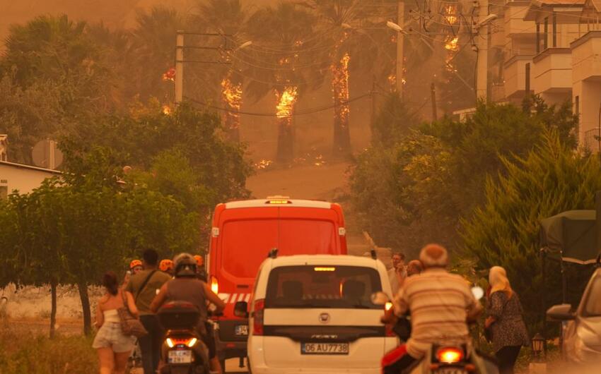 Türkiyədə meşə yanğınları davam edir