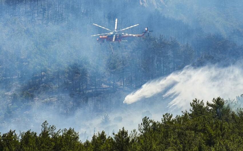 Ərdoğan: Yanğınlarla bağlı 31 nəfər saxlanılıb