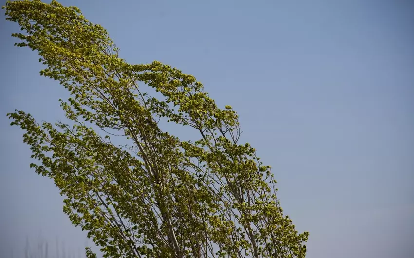 Güclü külək əsəcək -