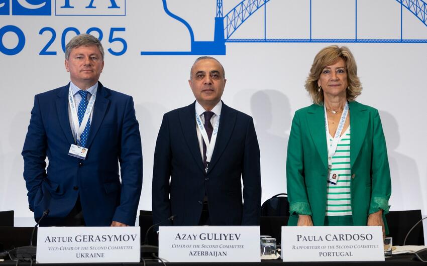 Azay Quliyev ATƏT PA-nın komitə sədri seçildi