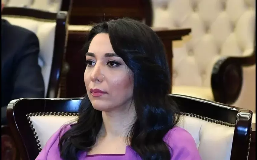 Rusiyanın ombudsmanı Səbinə Əliyevaya müraciət etdi