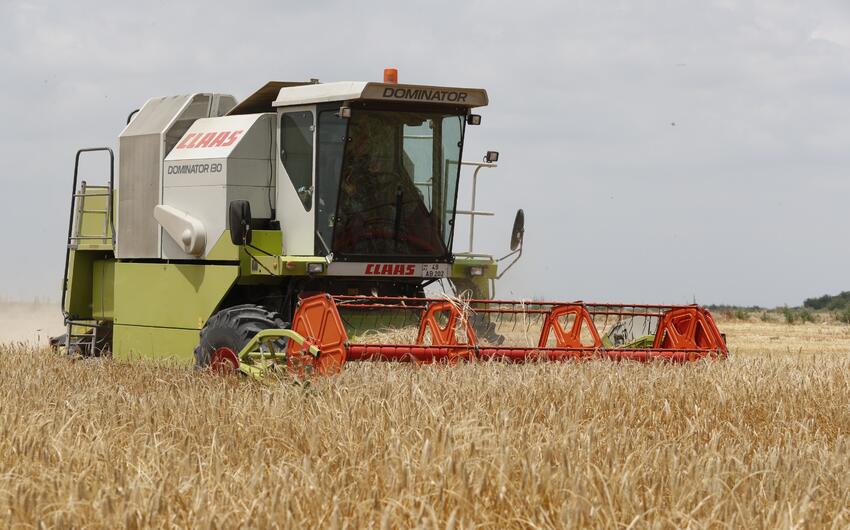 Azərbaycanda taxıl sahələrinin 70,4 faizində biçin başa çatdı