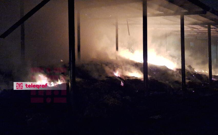 Lənkəranda ferma yandı -