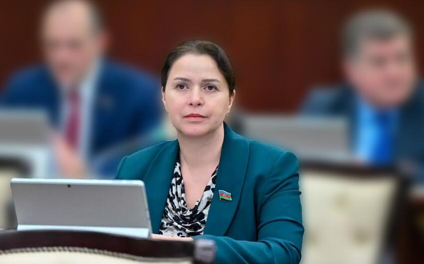 Deputat: Anti-milli qüvvələrin fəaliyyəti hər zaman ifşa olunub