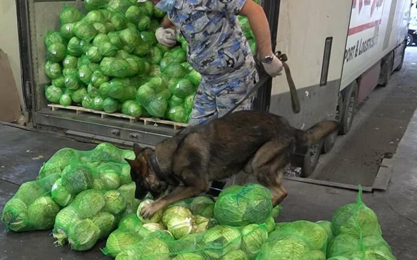 Gömrük postunda külli miqdarda narkotik vasitə aşkar edildi-