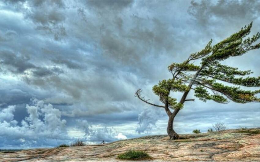 Küləkli hava şəraiti ilə bağlı sarı xəbərdarlıq edildi -