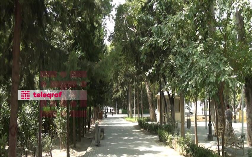 Teleqraf-ın Mingəçevirlə bağlı qaldırdığı məsələ öz həllini tapdı