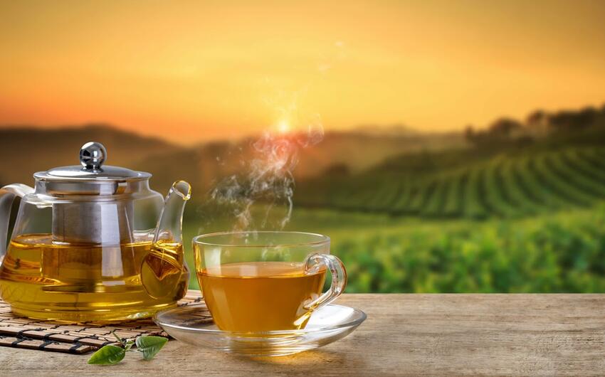 Azərbaycanda çay istehsalı azalıb