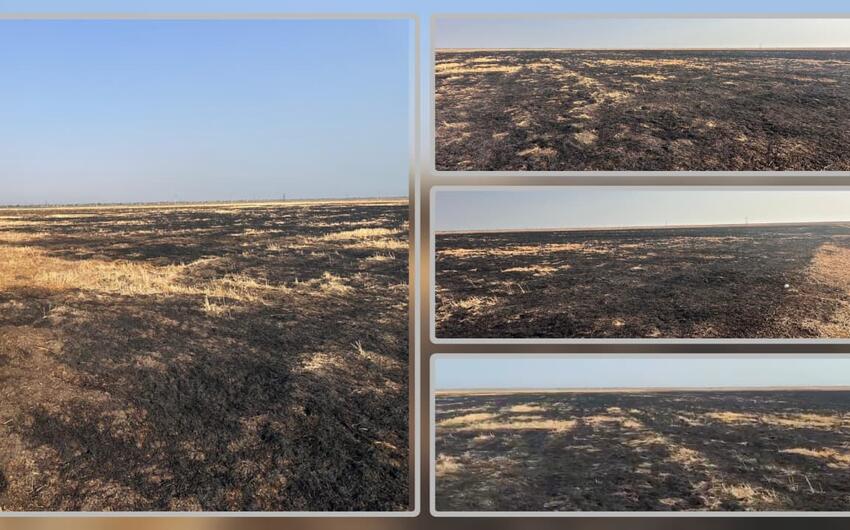 Cəlilabadda yanğın törədən şəxs məsuliyyətə cəlb edildi