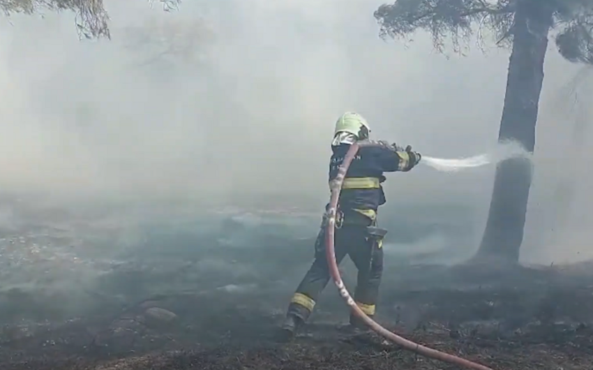 Ceyranbatanda açıq sahədə yanğın olub -