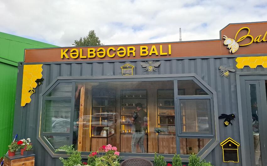 Kəlbəcər balı beynəlxalq bazarlara çıxarılacaq