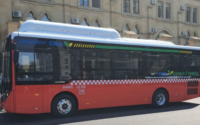 AYNA: 31 nömrəli marşrutda istismar olunan avtobuslar yenilənir