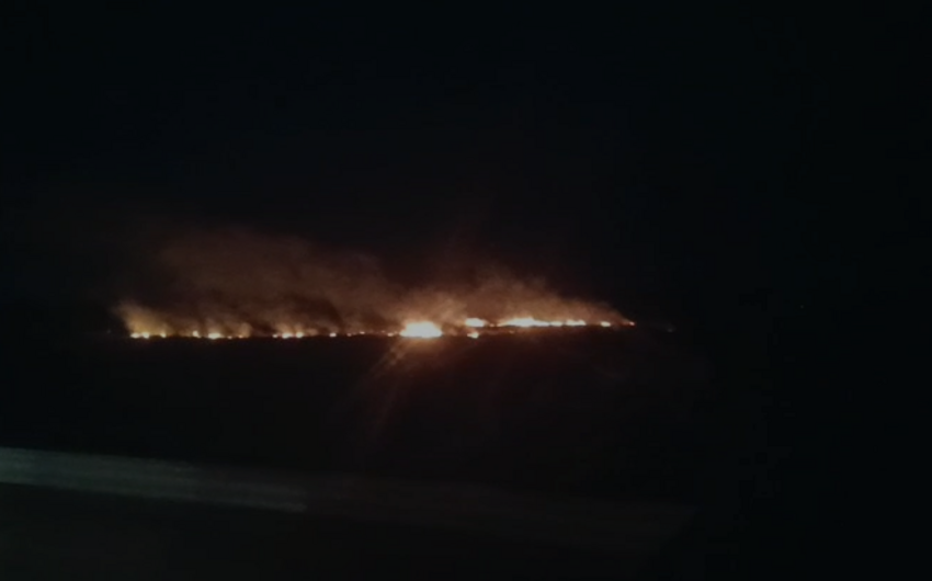 Lənkəran-Masallı yolunun kənarında yanğın baş verib -