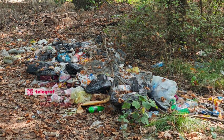 Lənkəranda “Sonalar bağı” viranəyə çevrilib -