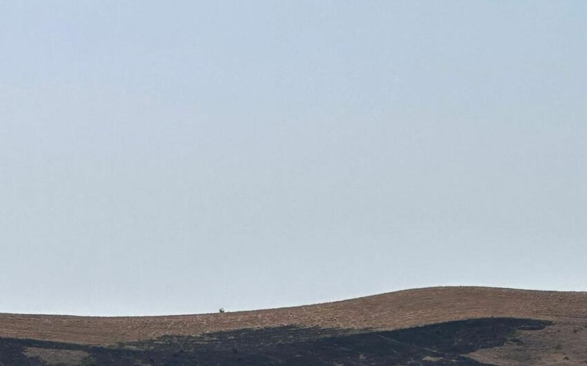 Şamaxıda yanğın törədən 38 yaşlı kişi məsuliyyətə cəlb olunub