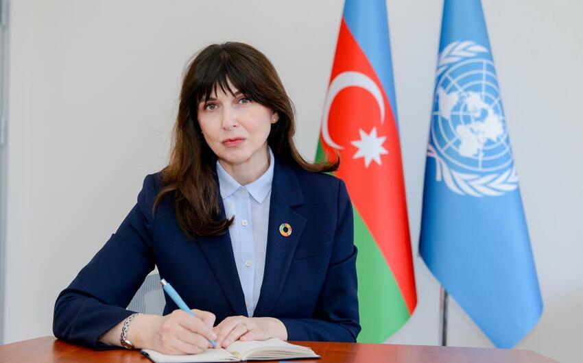 BMT-nin rezident əlaqələndiricisi: İqlim dəyişmələri dünya üçün ciddi təhdiddir