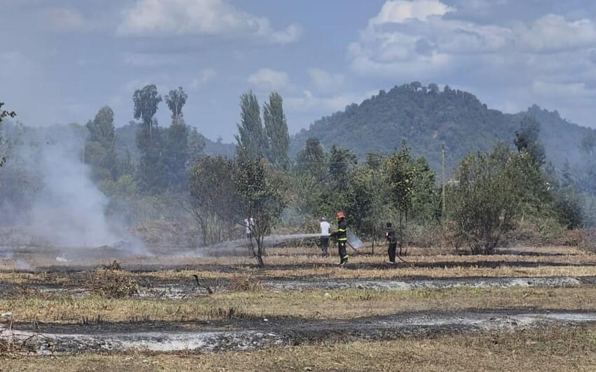 Lənkəranda yanğın törədən şəxs məsuliyyətə cəlb edildi