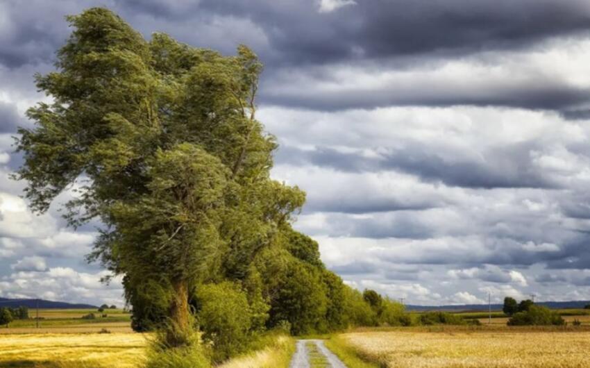 Küləyin sürəti güclənəcək -