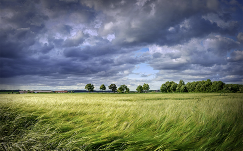 Sabah güclü külək əsəcək, yağış yağacaq -