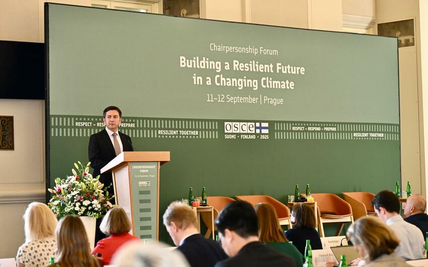 Yalçın Rəfiyev Çexiyaya səfər edib