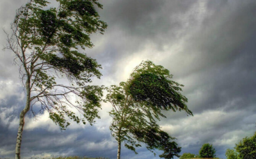 Ölkə ərazisində 3 gün güclü külək əsəcək