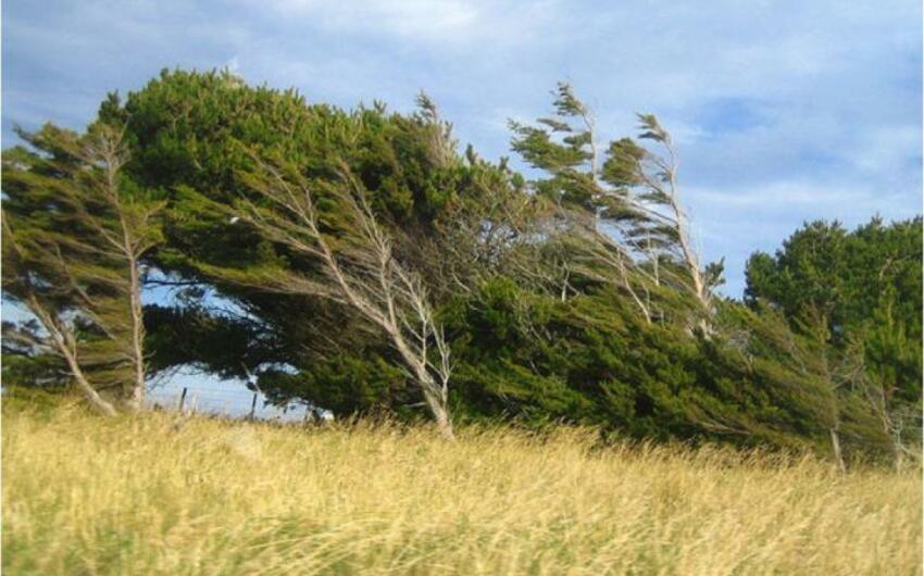 Küləyin sürəti güclənəcək