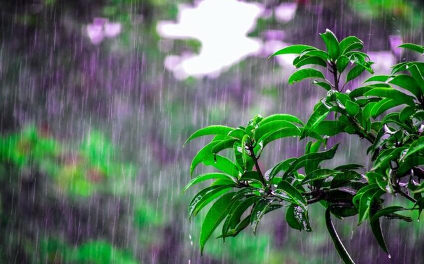 Yağış yağacaq, külək güclənəcək -