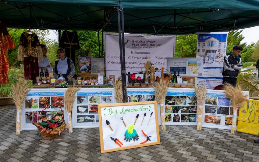 Qobustanda Aqrar Biznes Festivalı və toxum sərgi-satış yarmarkası keçirildi -