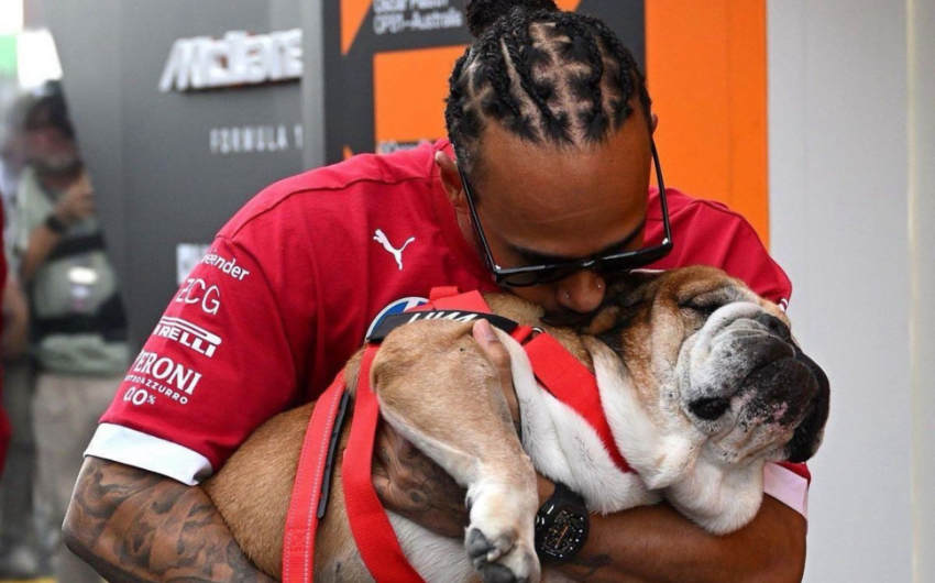 Lüis Hemilton itinə görə “Ferrari”dən ayrıldı